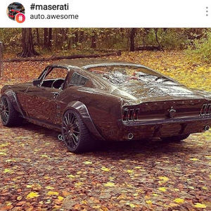 Meet your Posher, Darwin